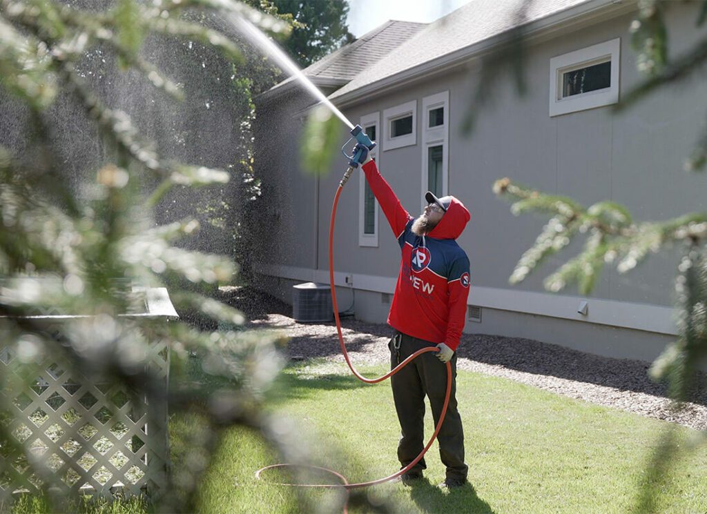 soft washing a house