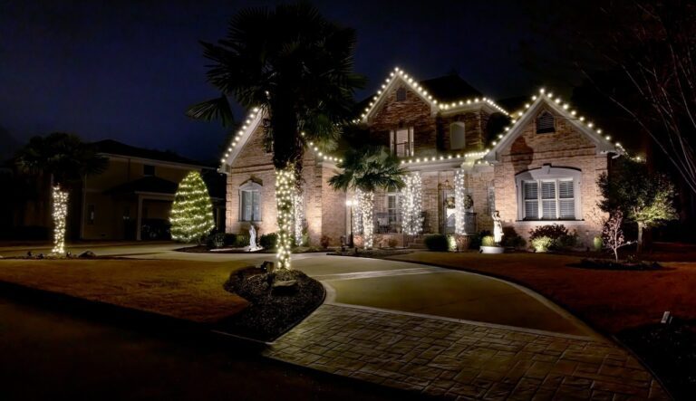 322204971_889359875825643_4990516078373021741_n-e1689791929742