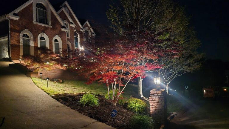 down-net_http20250613-160-4nhfzq-scaled